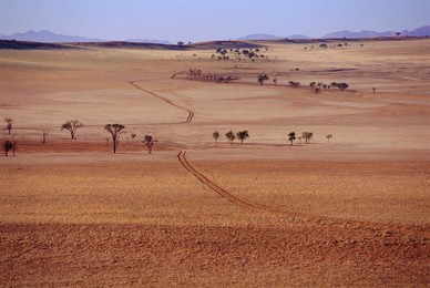 Landscape, Namibia
