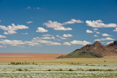 Wolvedans, Namib Rand Nature Reserve, Namibia, Africa