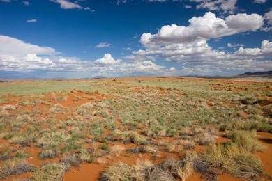 Wolvedans, Namib Rand Nature Reserve, Namibia, Africa