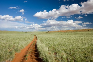 Namib Rand Nature Reserve, Namibia, Africa