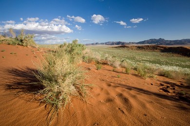 Wolvedans, Namib Rand Nature Reserve, Namibia, Africa