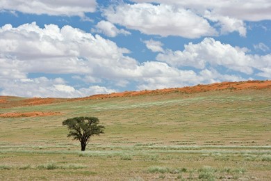 Wolvedans, Namib Rand Nature Reserve, Namibia, Africa