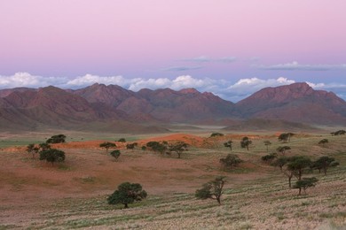 Sundowner, Wolvedans, Namib Rand Nature Reserve, Namibia, Africa