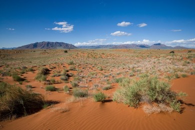 Wolvedans, Namib Rand Nature Reserve, Namibia, Africa