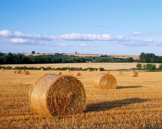 Agricultural landscape with straw bales in a cut wheat field
