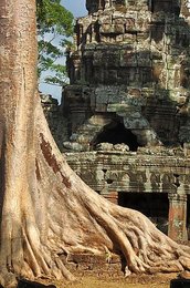 Image 40357258
