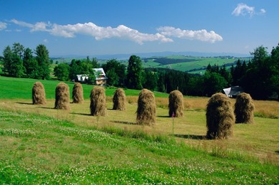 Typical Polish landscape near Zacopane, Tatra Mountains, Poland, Europe