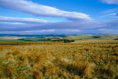 Landscape in the Scottish Borders, Scotland, UK, Europe