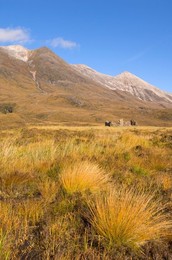 Crofters cottage ruin on the lower slopes of Beinn Eighe in the national nature reserve near Loch Torridon, Wester Ross, Scotland, United Kingdom, Europe