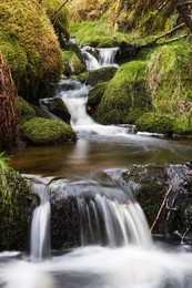 Stream in oak wood, Ariundle Woods National Nature Reserve, Strontian, Argyll, Scotland, United Kingdom, Europe