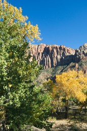 Landscape near Zion National Park, Utah, United States of America, North America