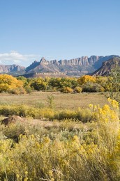 Landscape near Zion National Park, Utah, United States of America, North America