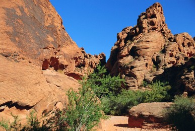 Petroglyphs drawn in sandstone by Anasazi Indians around 500 AD, Valley of Fire State Park, Nevada, USA, North America