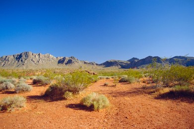 Valley of Fire State Park, Mojave Desert, Nevada, USA