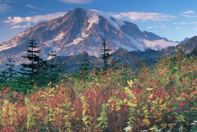 Landscape, Mount Rainier National Park, Washington state, United States of America, North America