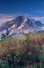 Landscape, Mount Rainier National Park, Washington state, United States of America, North America