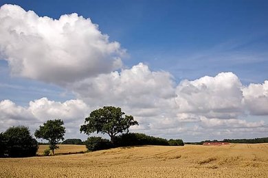 Landscape near Rieseby/Eckernfoerde, Schwansen peninsula, between Eckernfoerder Bay and Schlei, Schleswig-Holstein, Germany