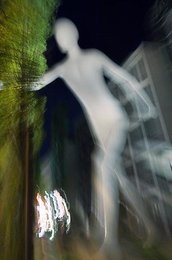 Image 40461793
