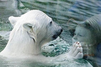 Image 43088571