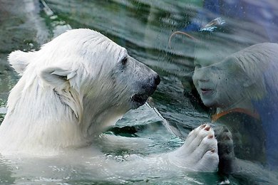 Image 43088573