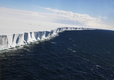 Image 43364002