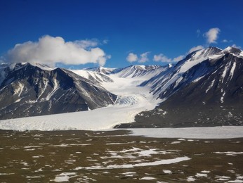 Image 43364041