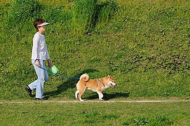 Image 43440371