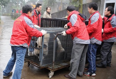 Image 44704942