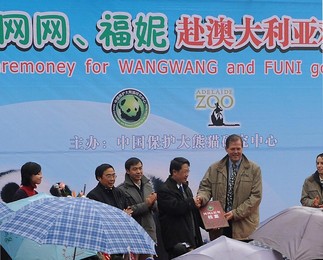 Image 44704949