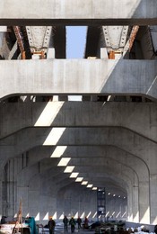 Image 44756484
