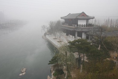 Image 44788050