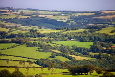 Rolling green landscape in summertime, Exmoor National Park, Somerset, England, United Kingdom, Europe