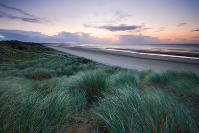 Sand dunes at Murlough Nature Reserve, with views to Dundrum Bay, County Down, Ulster, Northern Ireland, United Kingdom, Europe