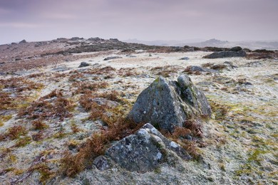 Frozen moorland landscape on Hayne Down in Dartmoor National Park, Devon, England, United Kingdom, Europe
