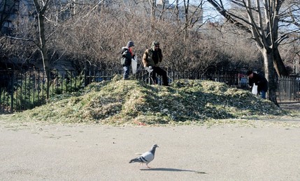 14th Annual Mulchfest