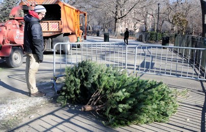 14th Annual Mulchfest