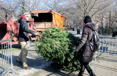 14th Annual Mulchfest