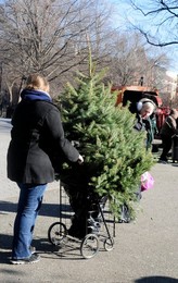 14th Annual Mulchfest