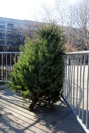 14th Annual Mulchfest