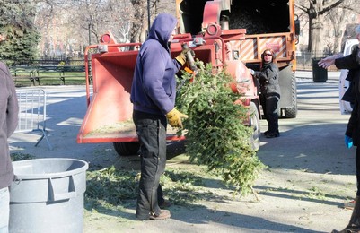 14th Annual Mulchfest