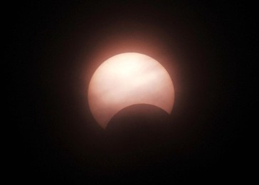 Image 51304508