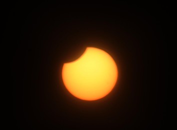 Image 51304860