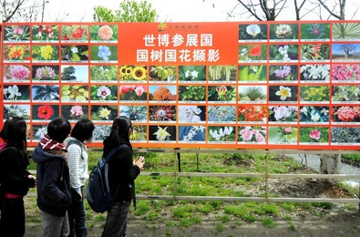 Image 56334510