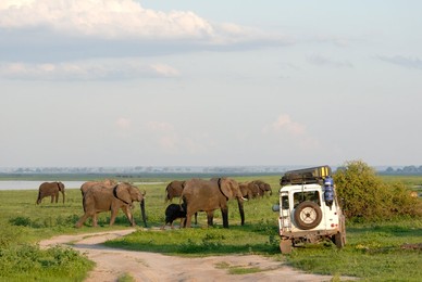 Image 70016036