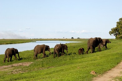 Image 70016161
