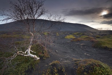 Desolate black ash landscape at the foot of Hverfjall (Hverfell) volcano, Myvatn, northern Iceland, Iceland, Polar Regions