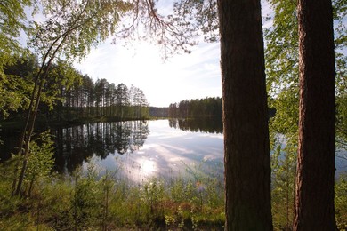 Lake Pihlajavesi, Punkaharju Nature Reserve, Punkaharju Ridge, Saimaa Lake District, Savonia, Finland, Scandinavia, Europe