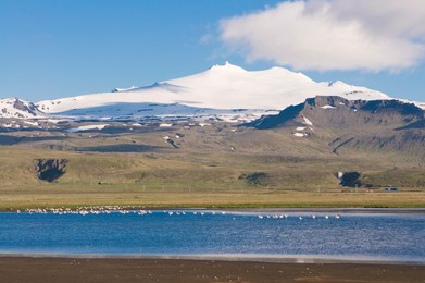 Mountain landscape with body of water and flock of birds, Snaefellsjokull National Park, Iceland, Polar Regions