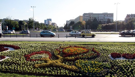 Image 71735465