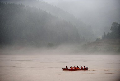 Image 75998282